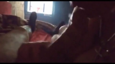 Intimate bedroom fun with my mature girl thumbnail 1